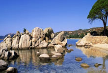 开云APP-迪马济奥：卢克曼重返亚特兰大基地，夏窗关闭前将进行单独训练